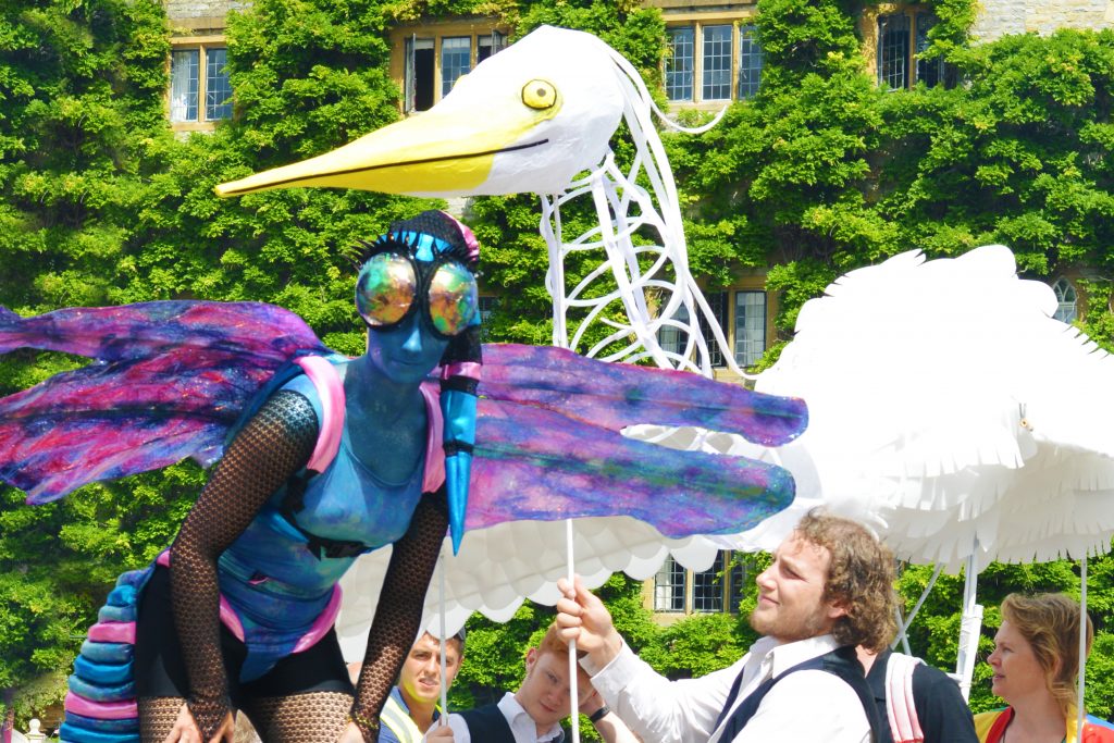 Egret and Dragon Fly Fuse Performance photographer Sally Manncopy