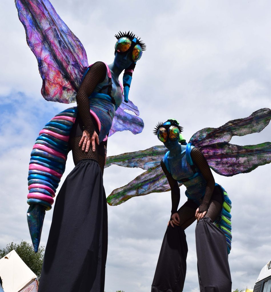 Dragon Flies on stilts