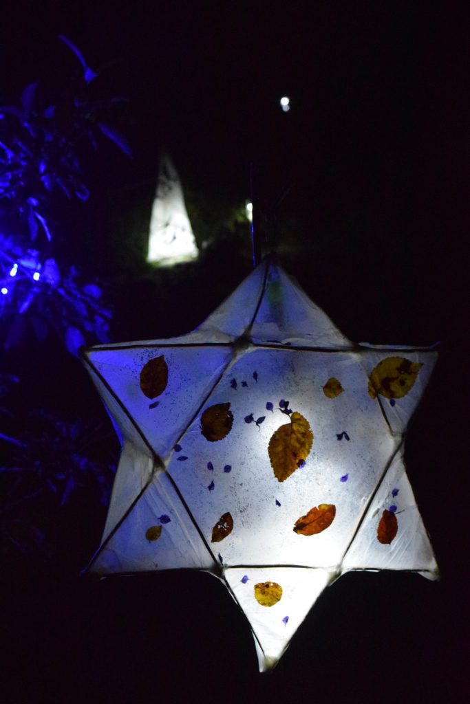 lantern 2